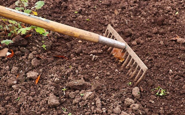 qualité du sol potager