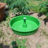 Piège TUTATRAP mineuse de la tomate x1