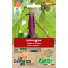 graines bio aubergine violette de toulouse