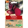 Graines bio betterave noire d'egypte