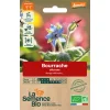 graines bio bourrache officinale
