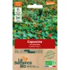 graines bio capucine non grimpante
