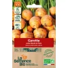 Graines biologiques carotte Ronde Marché de Paris 3