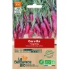 Graines biologiques Carotte Rouge Sang