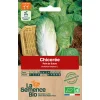 graines chicorée biologique pain de sucre