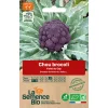 Graines biologiques Chou Brocoli Violet du Cap