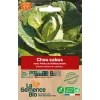 Graines biologiques Chou Cabus blanc Pointu de Châteaurenard