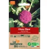 Graines biologiques Chou-fleur Violet de Sicile