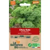 graines biologiques Chou Kale frisé Halbhoher