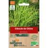 Graines biologiques Ciboule de Chine