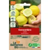 Graines biologiques Concombre Lemon