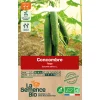 Graines biologiques Concombre Tanja