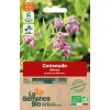 Graines biologiques Consoude officinale