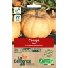 Graines biologiques Courge Carat