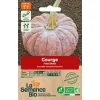 Graines biologiques Courge Futsu Black