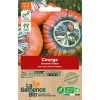 Graines biologiques Courge Giraumon Turban