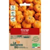 Graines biologiques Courge Jack Be Little