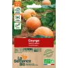 Graines biologiques Courge Jack O'Lantern