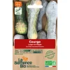 Graines biologiques Courge Langer von Neaple