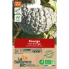 Graines biologiques Courge Marina di Chioggia
