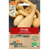 Graines biologiques Courge Tromba d'Albenga