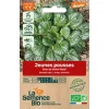 Graines biologiques Chou de Chine Tatsoï