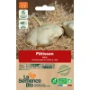 Graines biologiques Pâtisson blanc