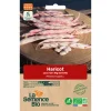 Graines biologiques Haricot coco nain Big borlotto
