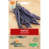 Graines biologiques Haricot nain Purple queen