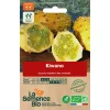 Graines biologiques Kiwano