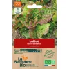 Graines biologiques Laitue batavia Grenobloise