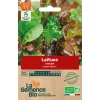 Graines biologiques Laitue à couper