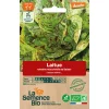Graines biologiques Laitue romaine mouchetée de Salasc