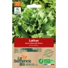 Graines biologiques Laitue batavia Reine des Glaces