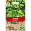Graines biologiques Laitue romaine Parris Island
