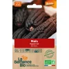 Graines biologiques Maïs Popcorn noir