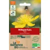 Graines biologiques Millepertuis Topas