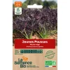 Graines biologiques Jeunes pousses Mizuna rouge