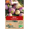 Graines biologiques Navet blanc globe à collet violet