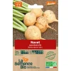 Graines biologiques Navet jaune Boule d'Or