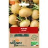 Graines biologiques Navet Petrowski
