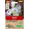 Graines biologiques Oignon blanc Premier
