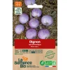Graines biologiques Oignon rosé d'Armorique