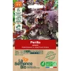 Graines biologiques Perilla pourpre