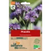 Graines biologiques Phacélie