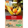 Graines biologiques Physalis Coqueret du Pérou