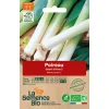 Graines biologiques Poireau Géant d'Hiver 2