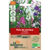 Graines biologiques Pois de senteur en mélange