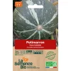 Graines biologiques Potimarron Green Hokkaïdo