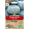 Graines biologiques Potiron bleu de Hongrie